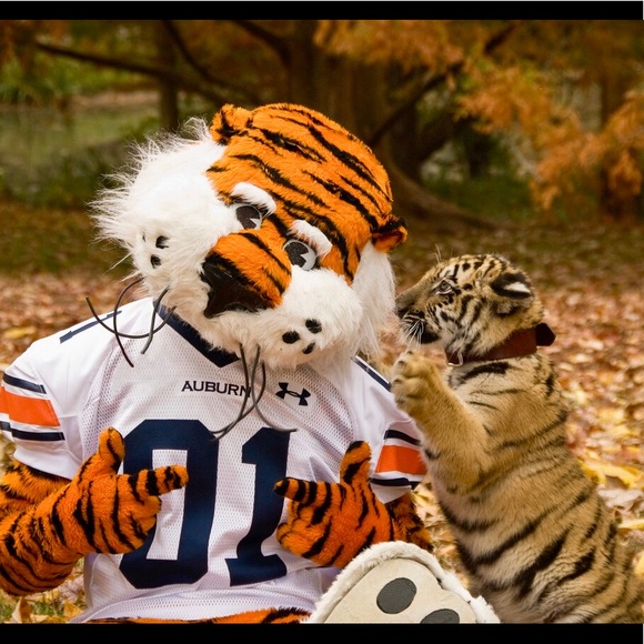 Meet your Posher, Cari - Picture 4 of 8